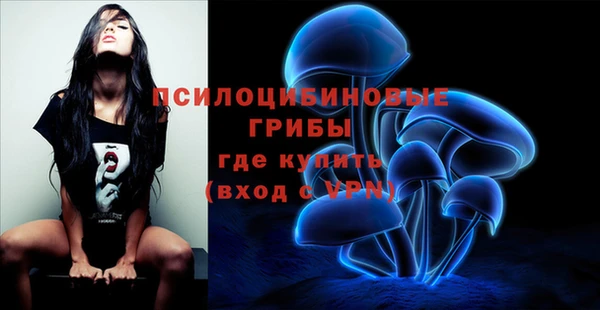 а пвп мука Вязники